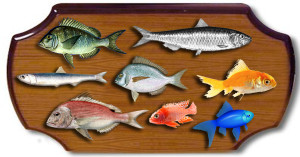 Here's why focusing on multiple fish is a good approach for your small business.