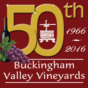 We created a special logo to commemorate Buckingham Valley Vineyards' 50th anniversary.